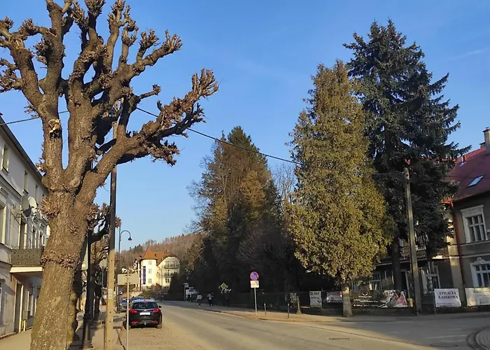 Apartment Przy Basenie *